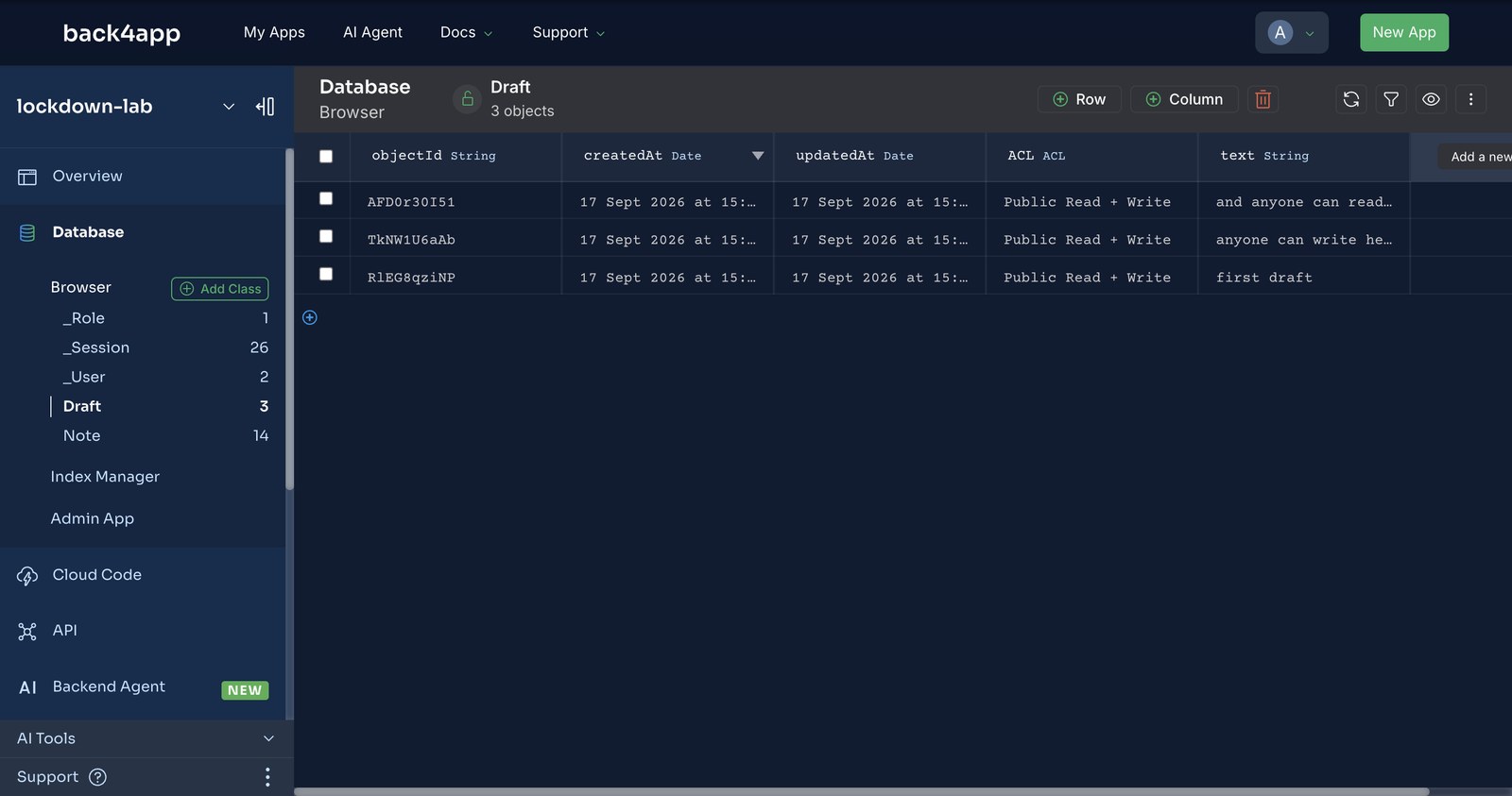 The Database Browser showing a Draft class with three objects, each with an ACL column reading Public Read + Write, created by anonymous requests